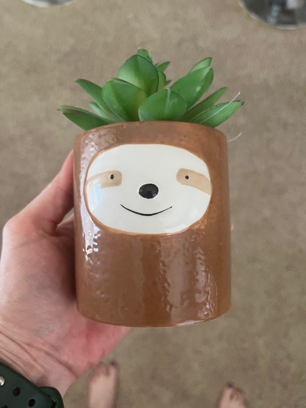 francesa sloth Succulent - plastic